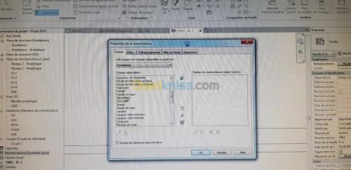 formation logiciel Revit structure 