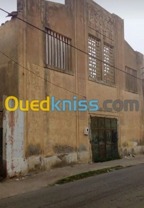 Vente Carcasse Ain temouchent El malah