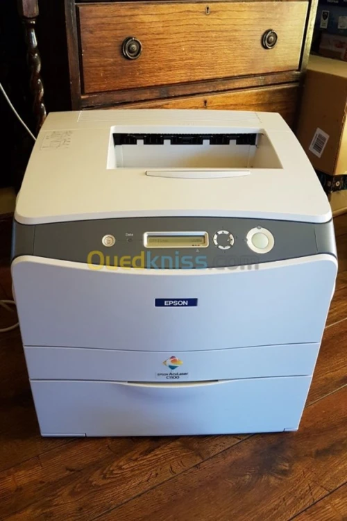 EPSON C1100