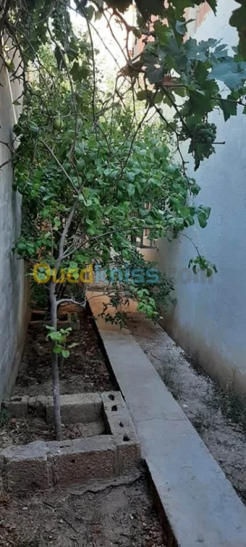 Vente Niveau De Villa F4 Tebessa Hammamet