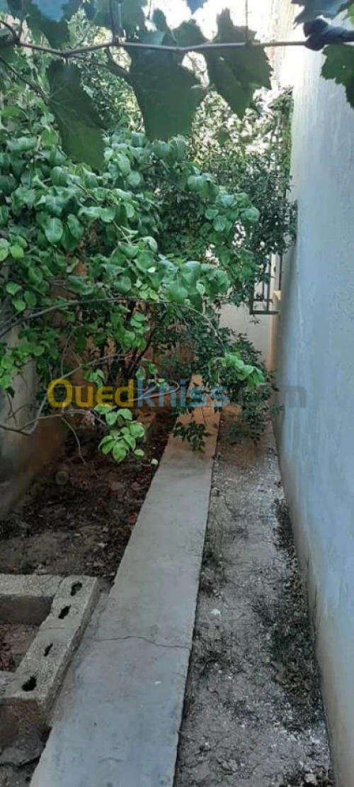 Vente Niveau De Villa F4 Tebessa Hammamet
