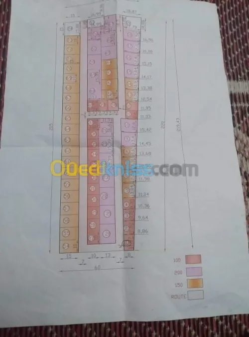 Vente Terrain Mostaganem Kheireddine