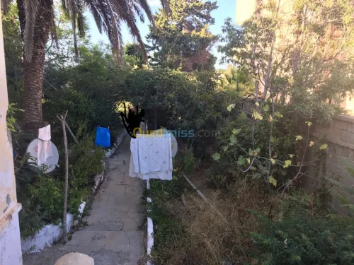 Vente Villa Alger El biar