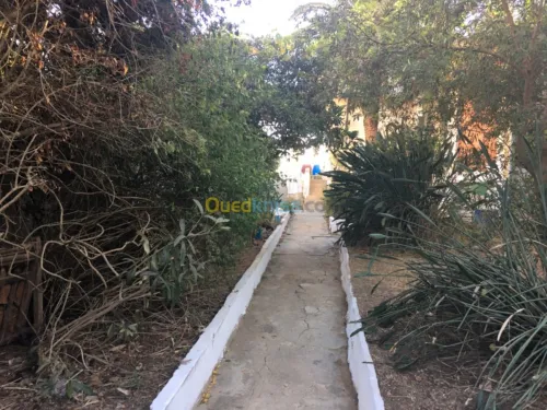 Vente Villa Alger El biar