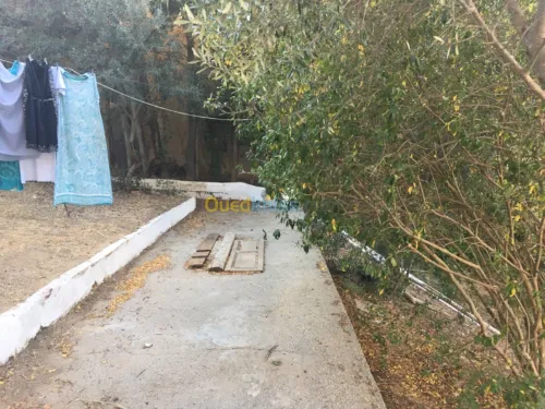 Vente Villa Alger El biar