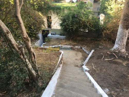 Vente Villa Alger El biar