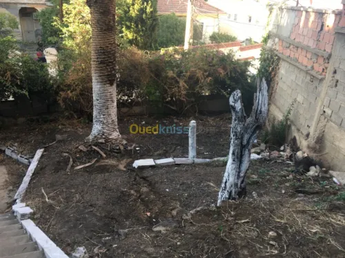Vente Villa Alger El biar