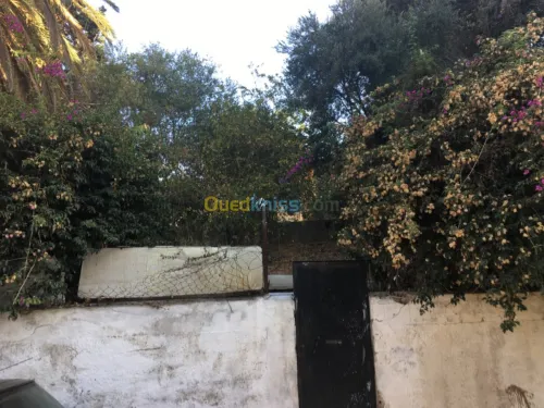Vente Villa Alger El biar