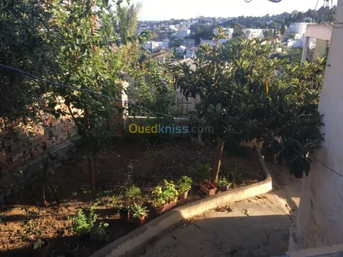 Vente Villa Alger El biar