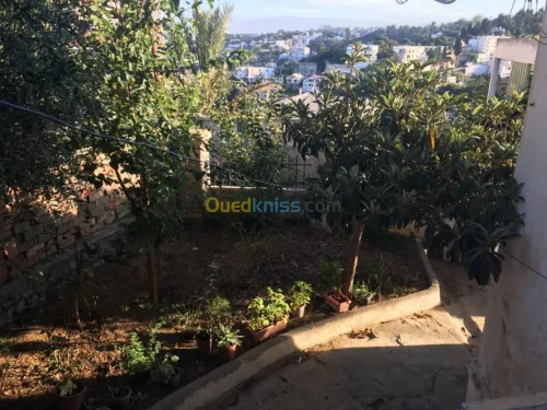 Vente Villa Alger El biar