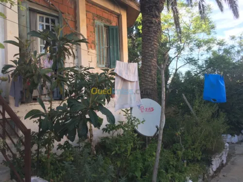 Vente Villa Alger El biar