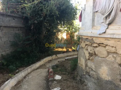 Vente Villa Alger El biar