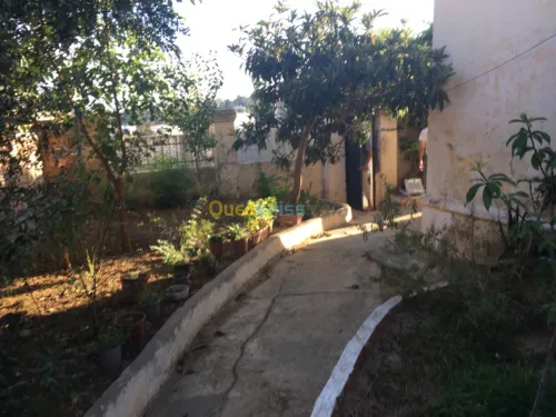 Vente Villa Alger El biar