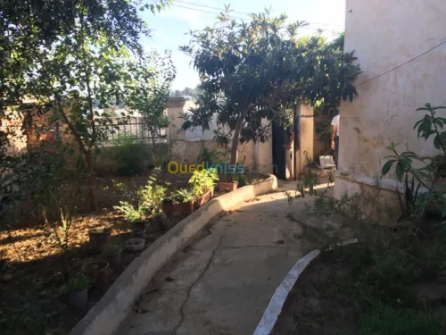 Vente Villa Alger El biar