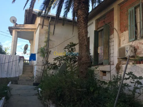 Vente Villa Alger El biar