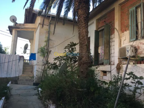 Vente Villa Alger El biar