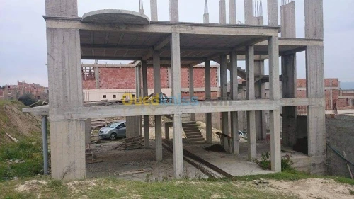 Vente Carcasse Alger Douera