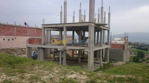 Vente Carcasse Alger Douera