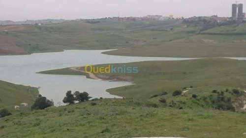 Vente Carcasse Alger Douera