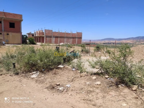 Vente Terrain Ain defla Ain defla