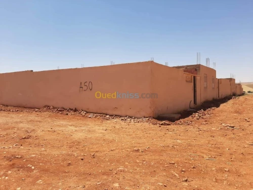 Vente Terrain Saida Ain el hadjar
