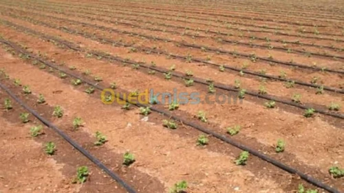 Irrigation automatique
