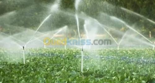Irrigation automatique