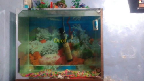 Aquarium