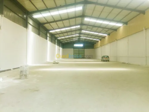 Location Hangar Alger Sidi moussa