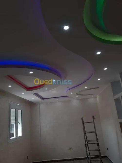 Placo platr et pvc et aluminium 
