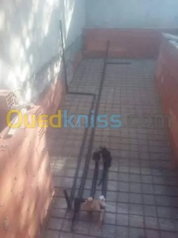 installation et traitement piscine