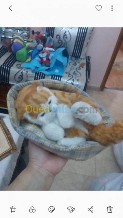 Des hochet et jouet de marque