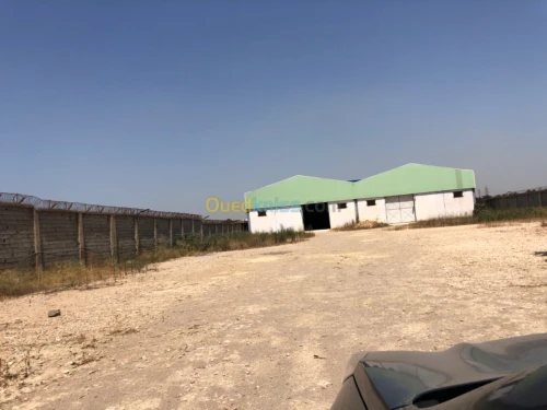 Location Hangar Blida Boufarik