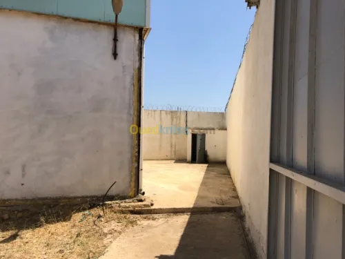 Location Hangar Blida Boufarik