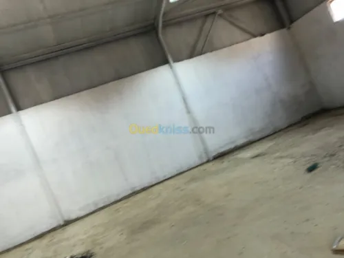 Location Hangar Blida Boufarik