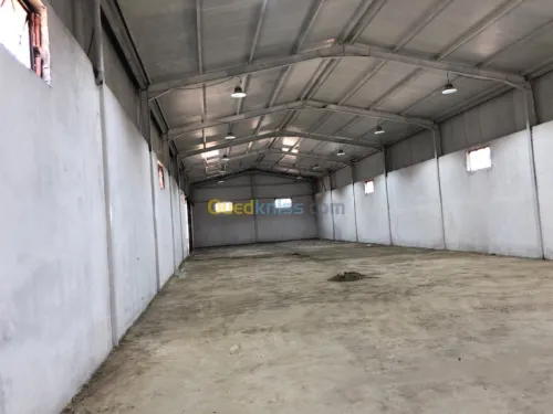 Location Hangar Blida Boufarik