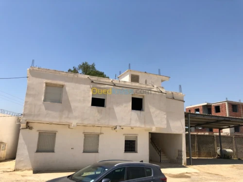 Location Hangar Blida Boufarik