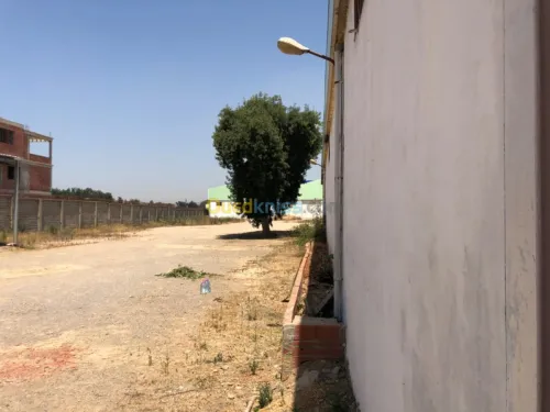 Location Hangar Blida Boufarik