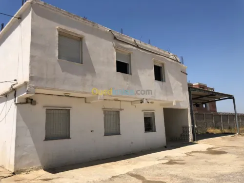 Location Hangar Blida Boufarik
