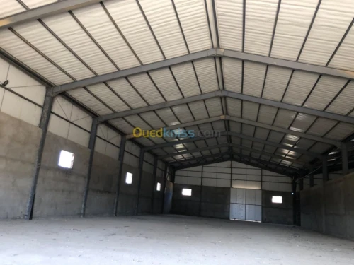 Location Hangar Blida Boufarik