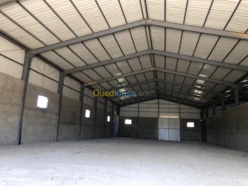 Location Hangar Blida Boufarik