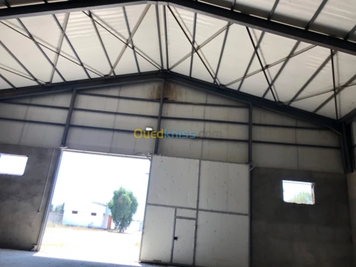 Location Hangar Blida Boufarik
