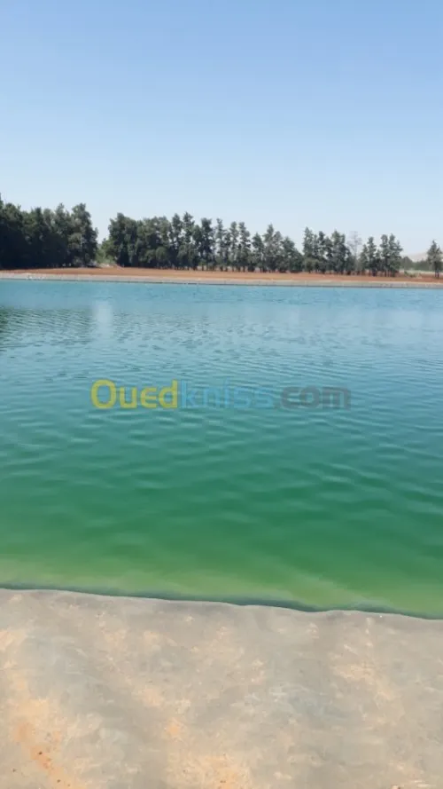 Fourniture et pose geomembrane PEHD 