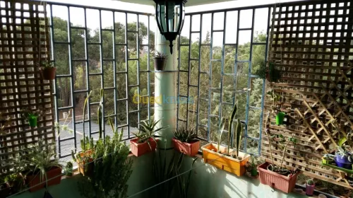 Vente Appartement F3 Sidi Bel Abbès Ben badis