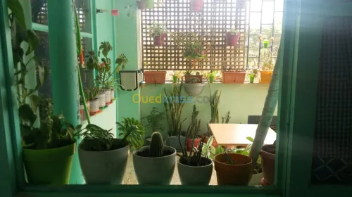 Vente Appartement F3 Sidi Bel Abbès Ben badis