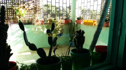 Vente Appartement F3 Sidi Bel Abbès Ben badis