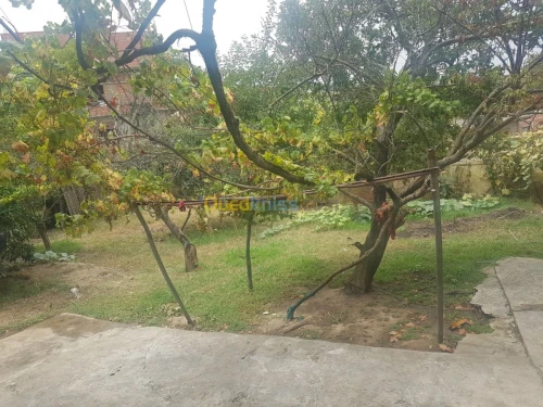 Vente Villa Jijel Chekfa