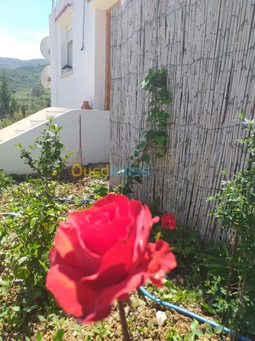 Location Villa Tizi ouzou Iflissen
