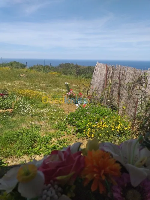 Location Villa Tizi ouzou Iflissen