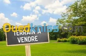 Vente Terrain Alger Ben aknoun